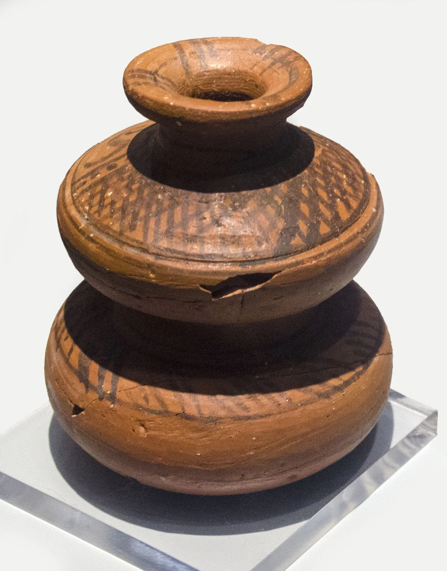 Archaeological Museum of Palencia