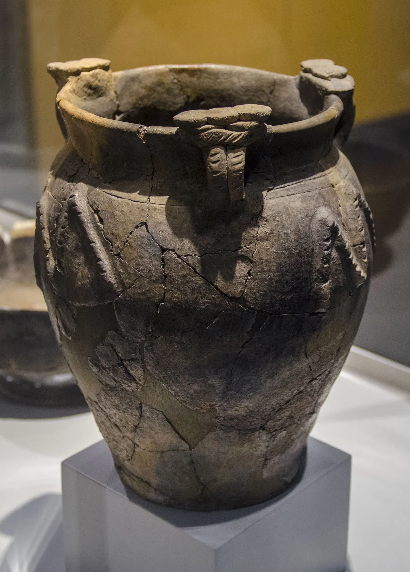 Archaeological Museum of Palencia