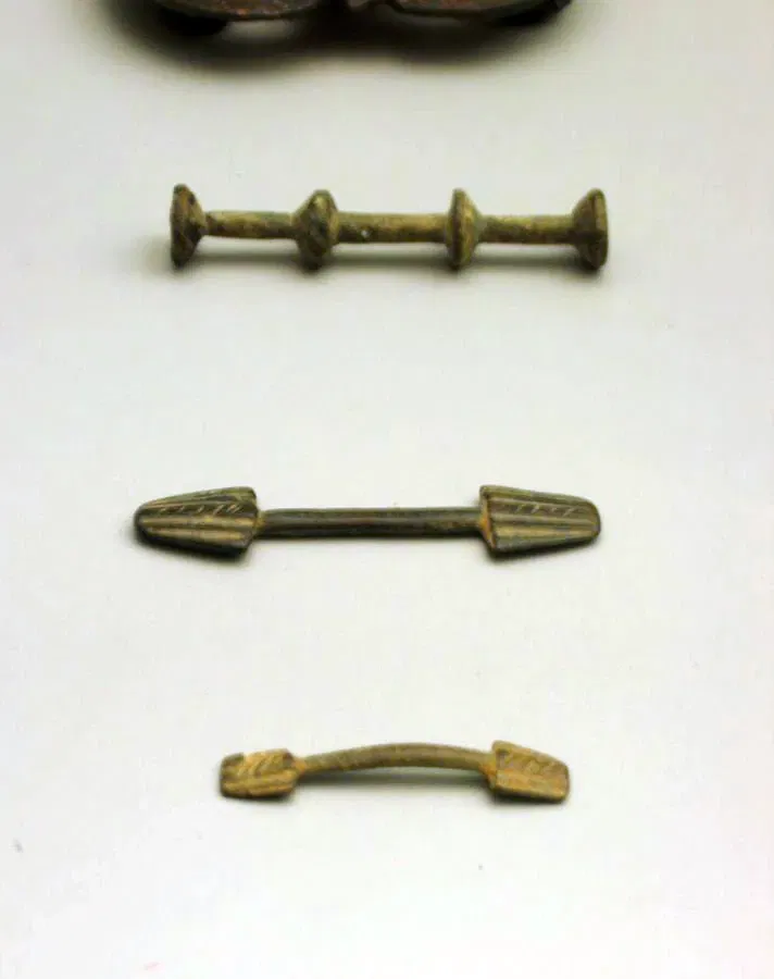 Archaeological Museum of Palencia