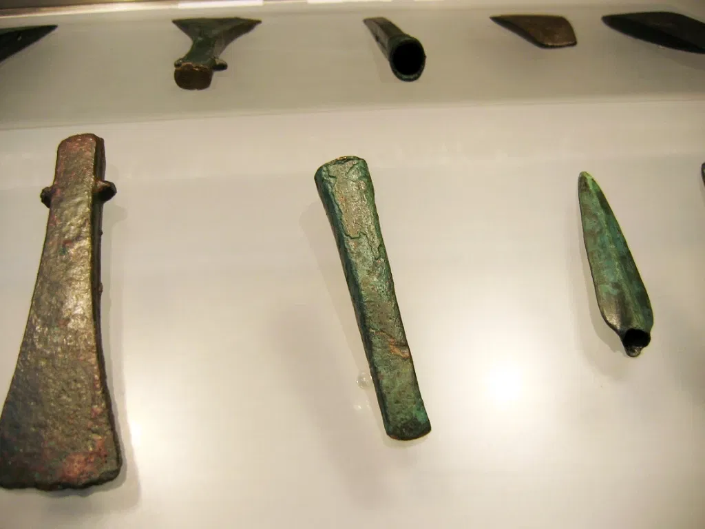 Archaeological Museum of Palencia