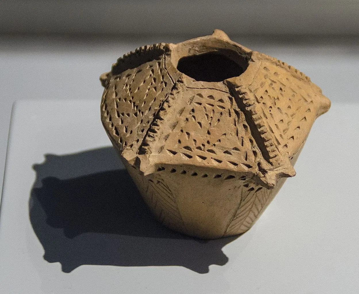 Archaeological Museum of Palencia