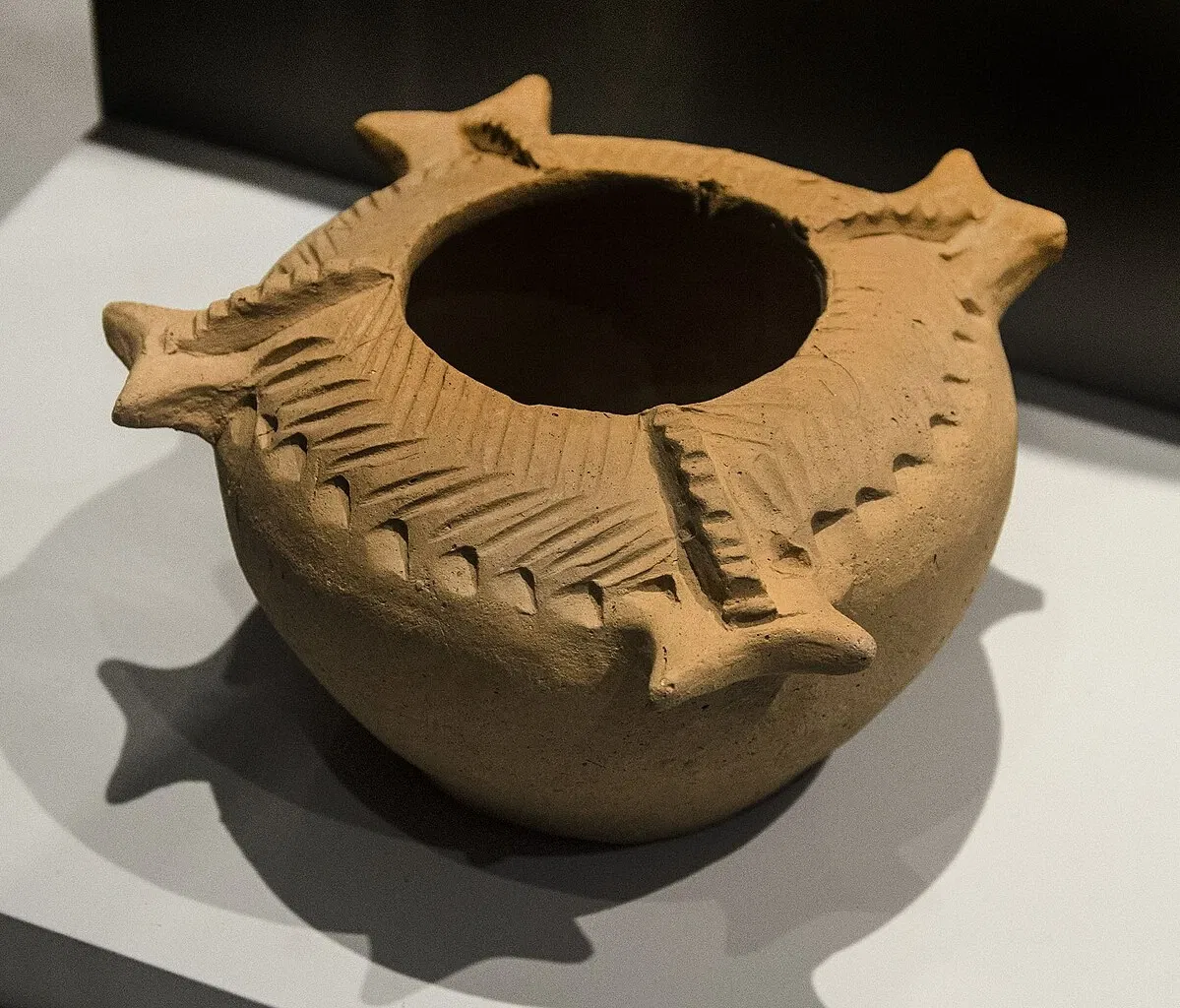 Archaeological Museum of Palencia