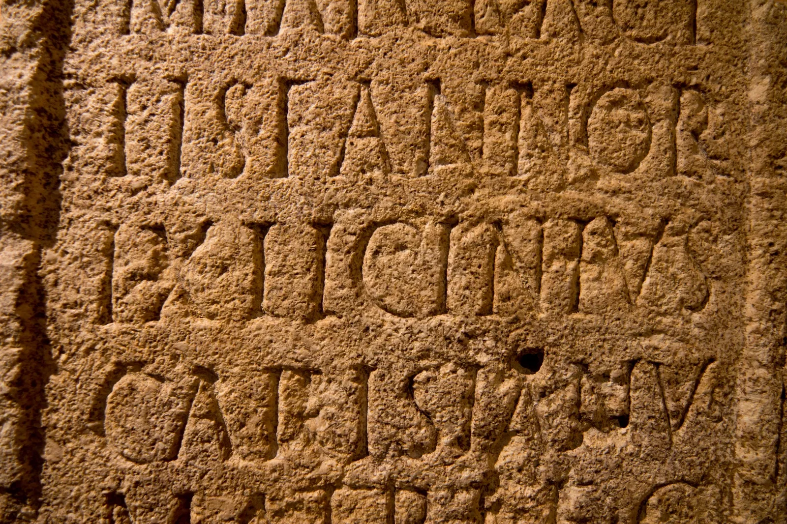 Archaeological Museum of Palencia