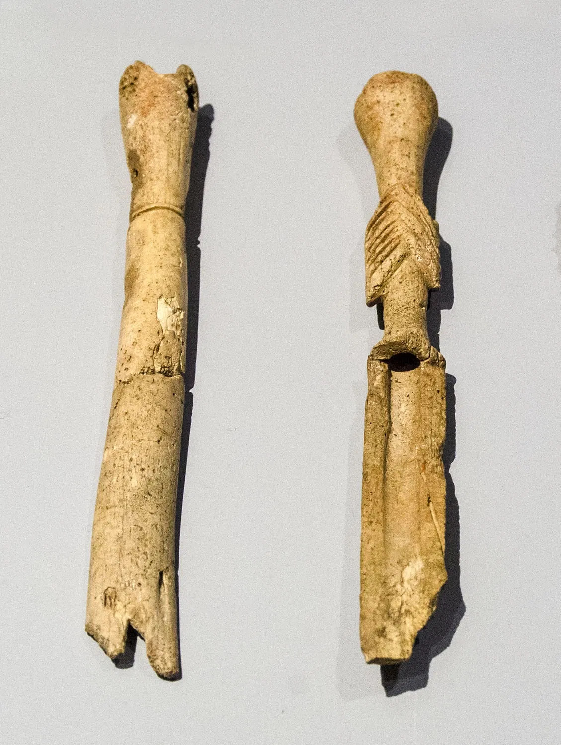 Archaeological Museum of Palencia