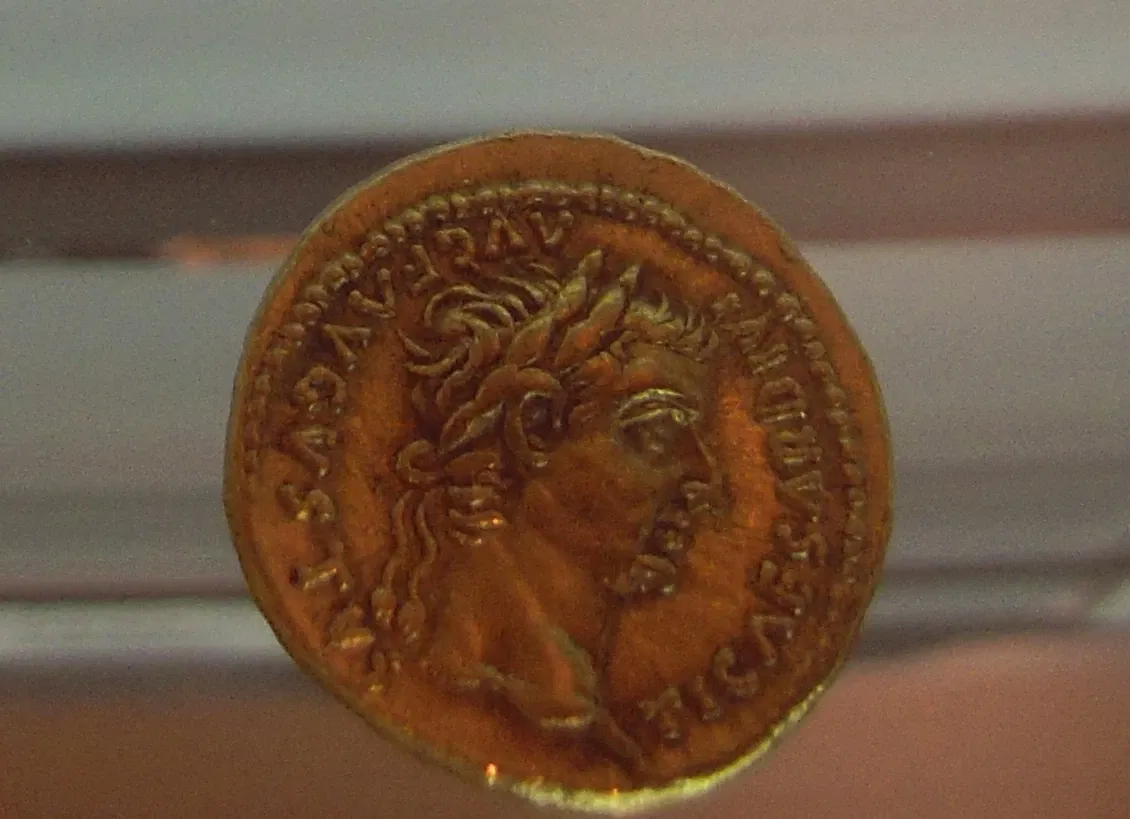 Archaeological Museum of Palencia