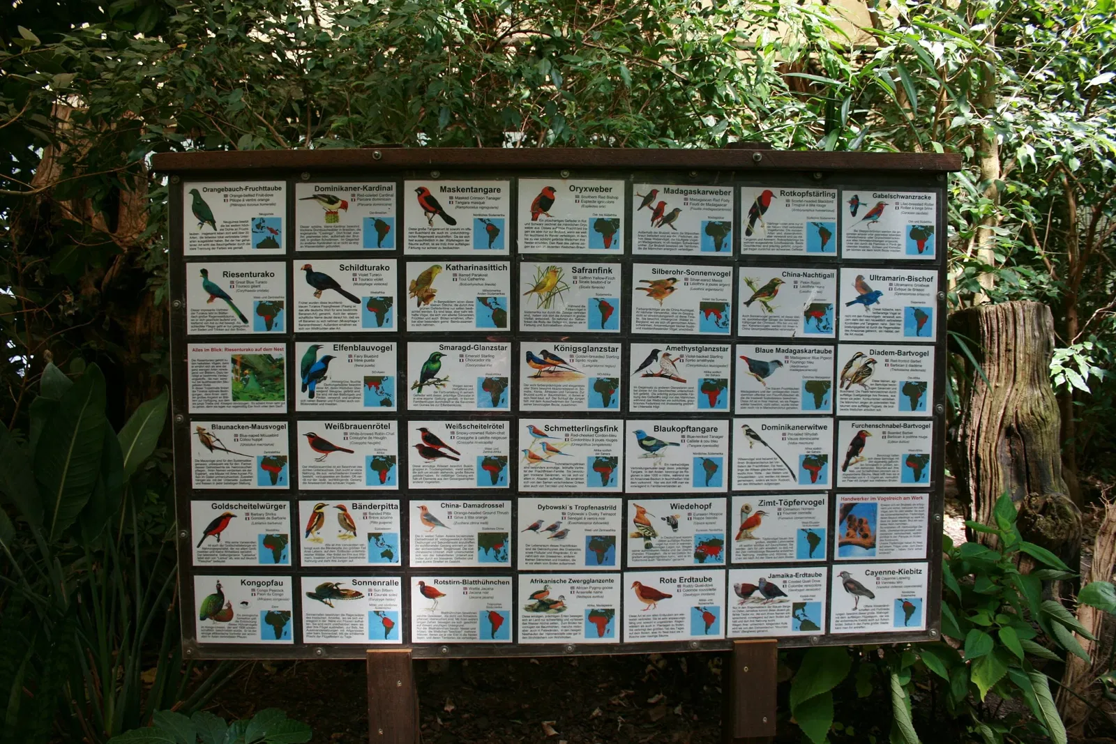 Weltvogelpark Walsrode