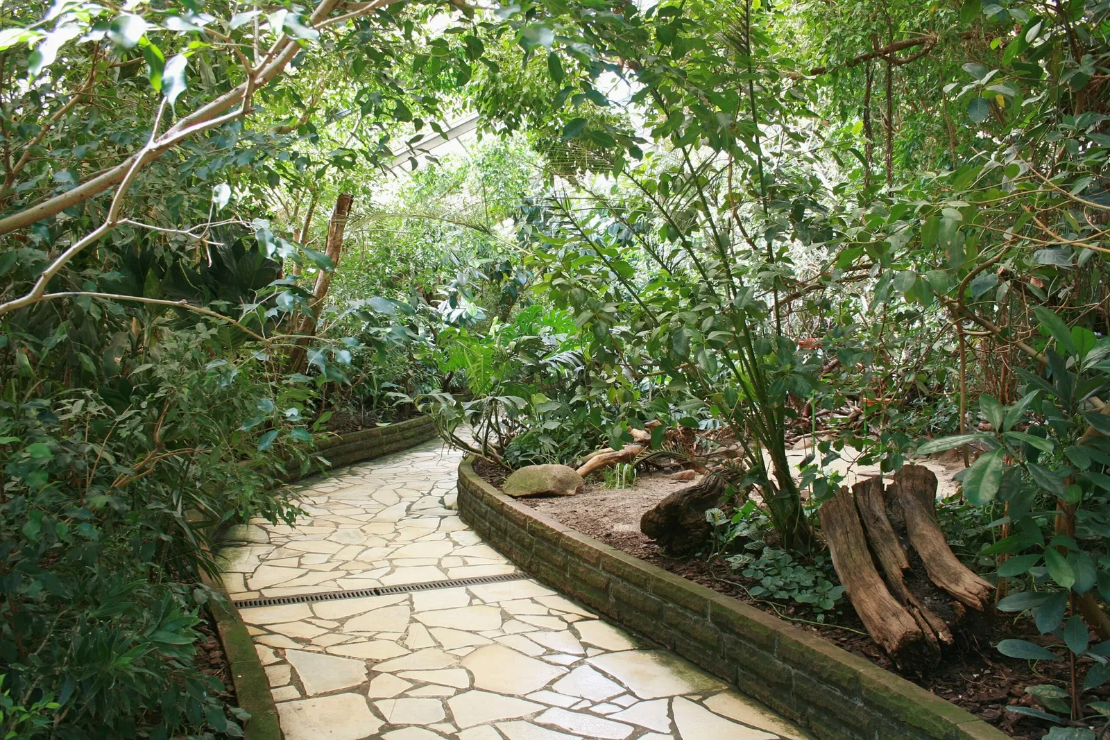 Parco ornitologico di Walsrode