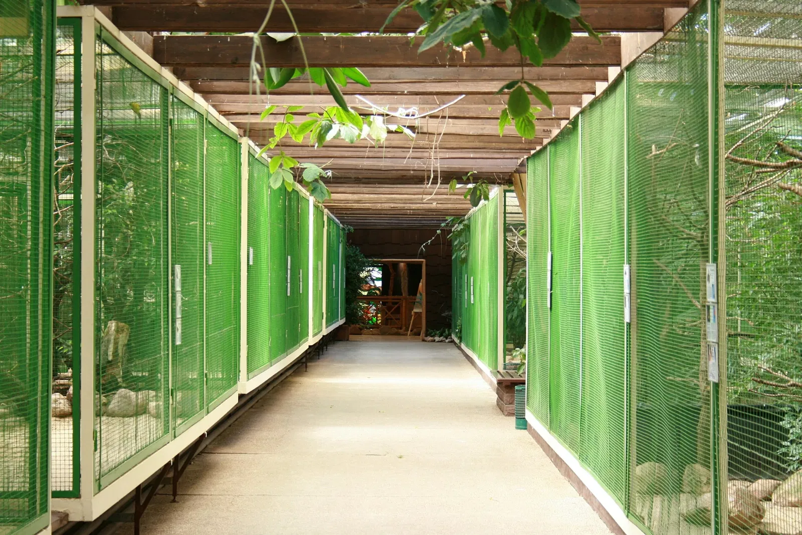 Parc ornithologique de Walsrode