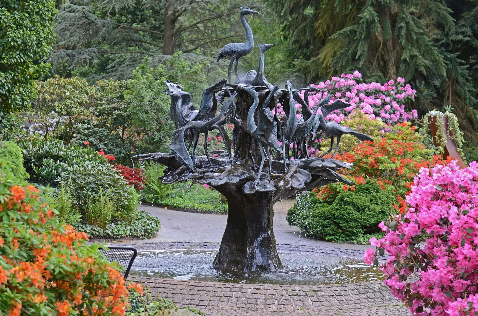 Weltvogelpark Walsrode