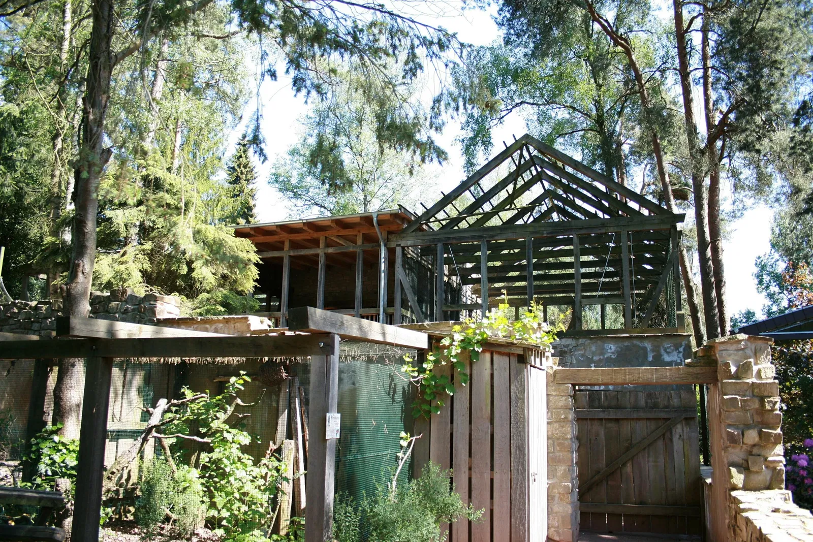 Parc ornithologique de Walsrode