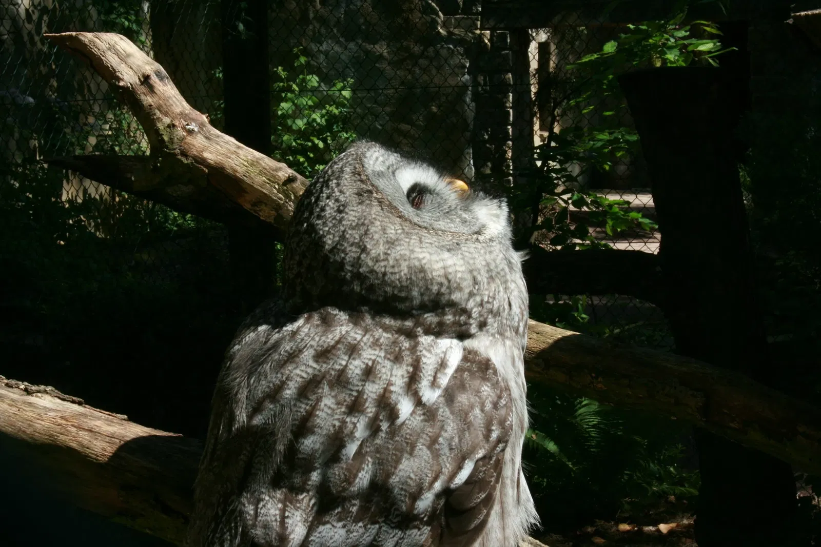 Vogelpark Walsrode