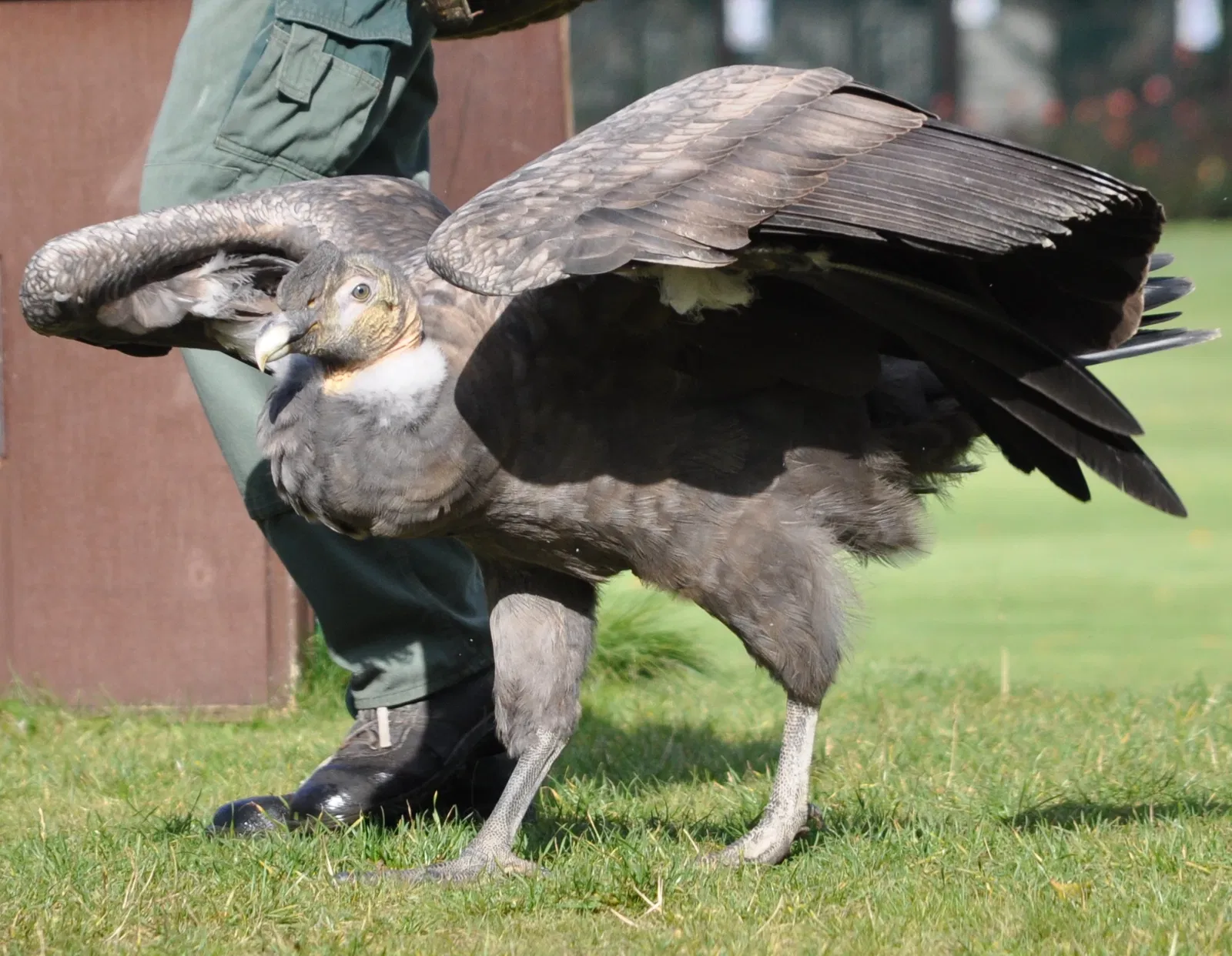 Weltvogelpark Walsrode