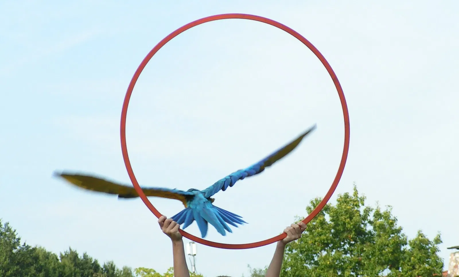 Vogelpark Walsrode