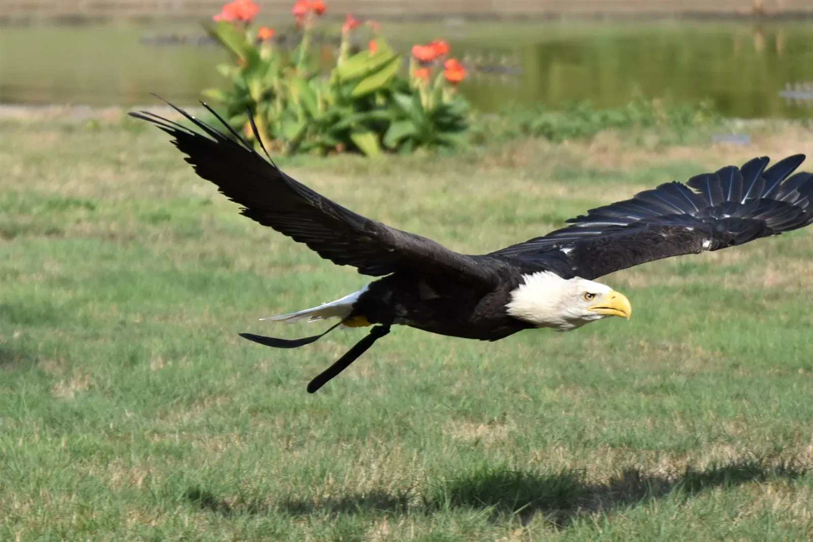 Weltvogelpark Walsrode