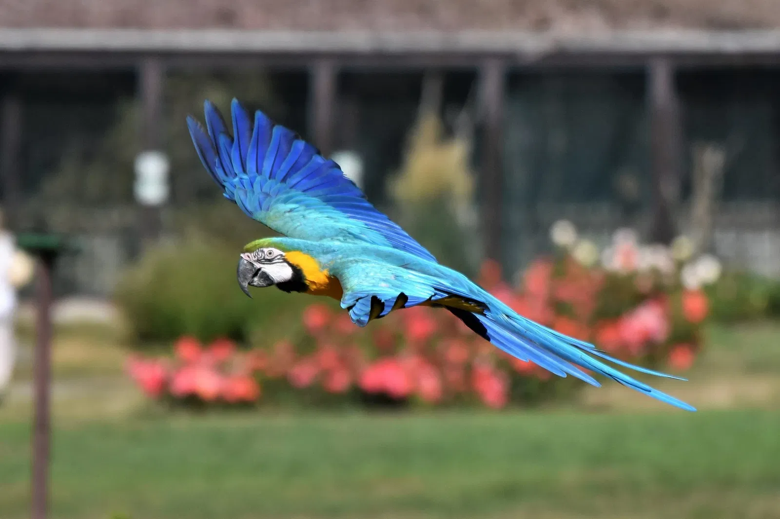 Weltvogelpark Walsrode
