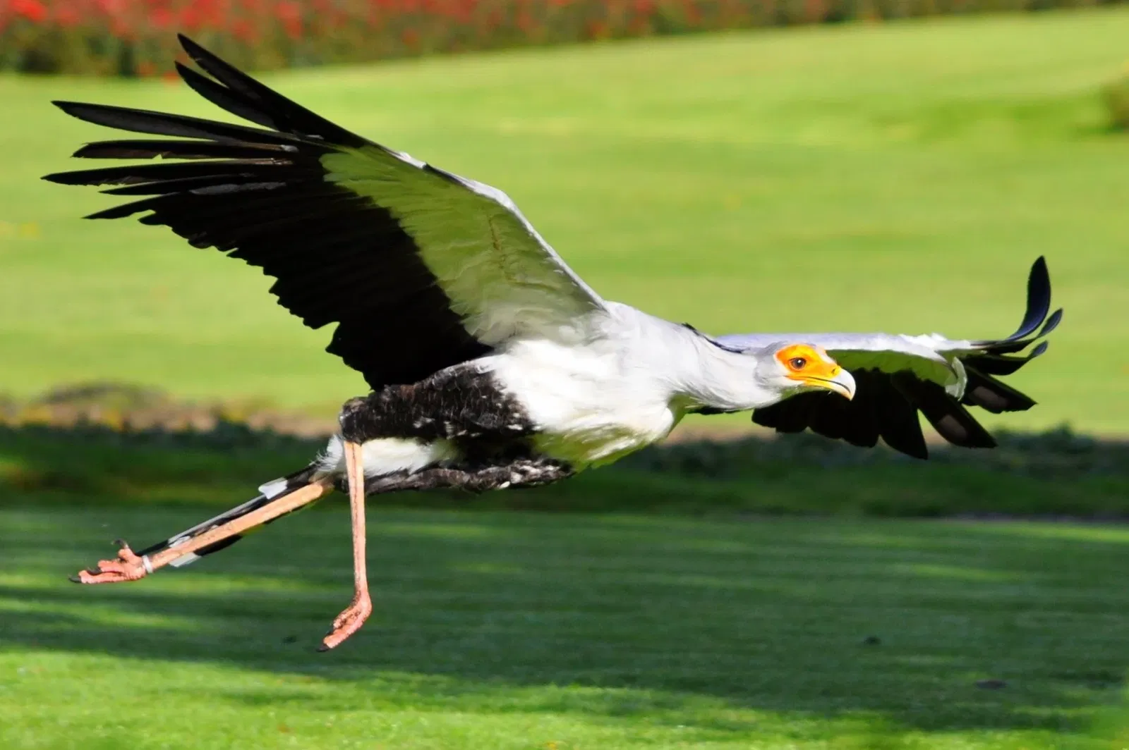 Weltvogelpark Walsrode