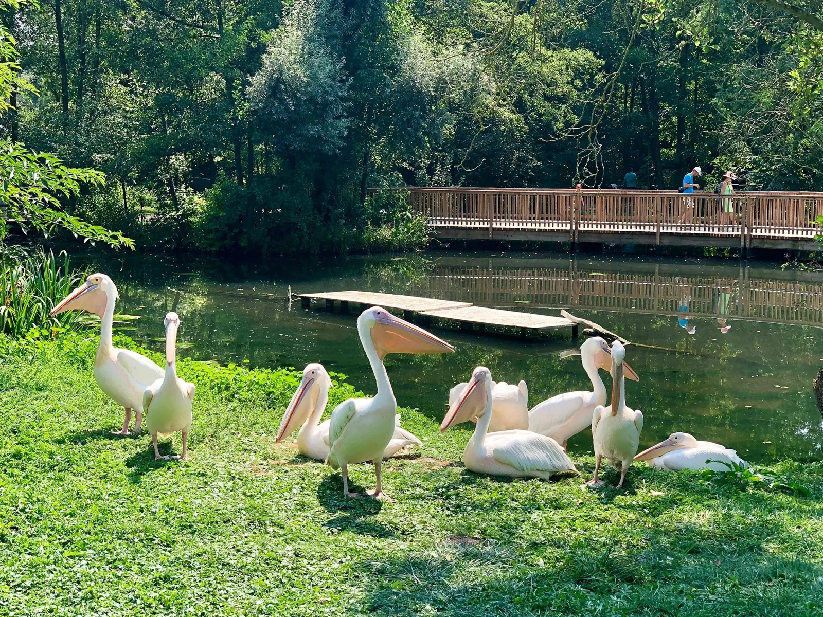 Jardin zoologique de Straubing