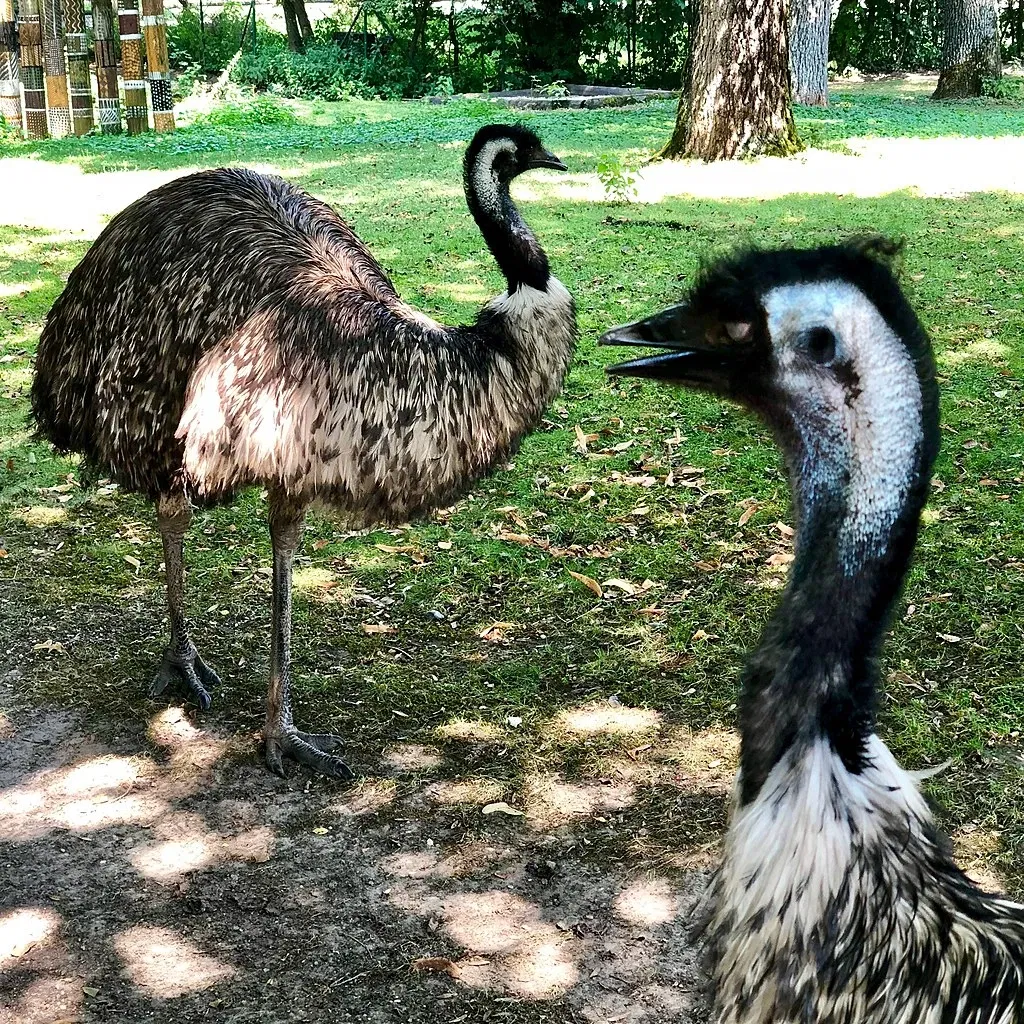 Tiergarten Straubing