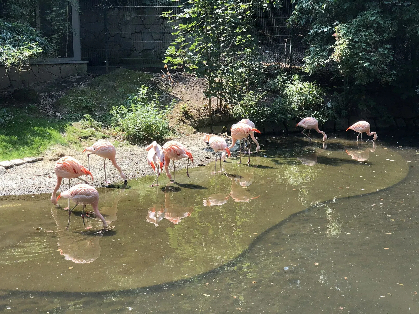 Tiergarten Straubing