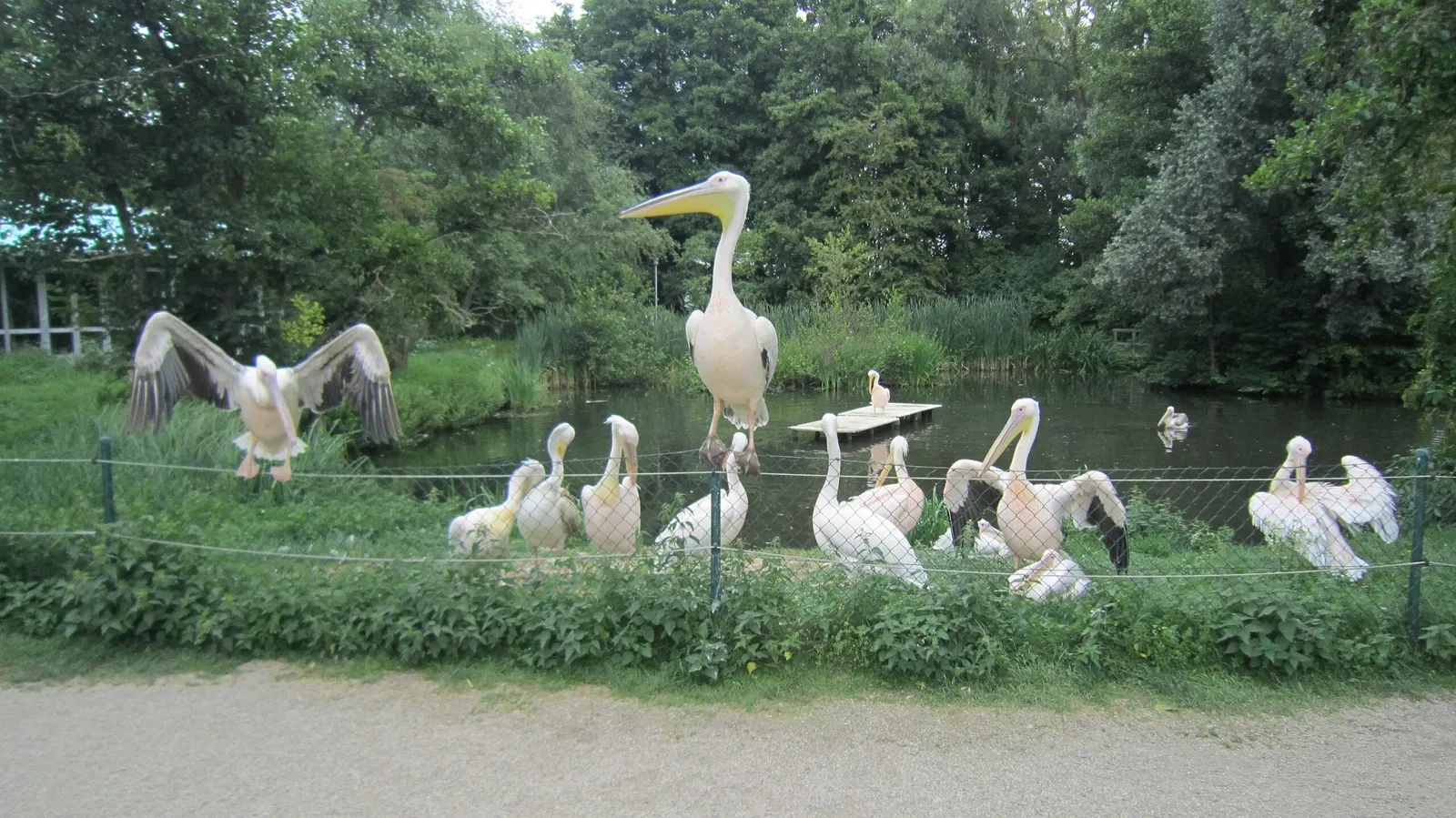 Straubing Zoo