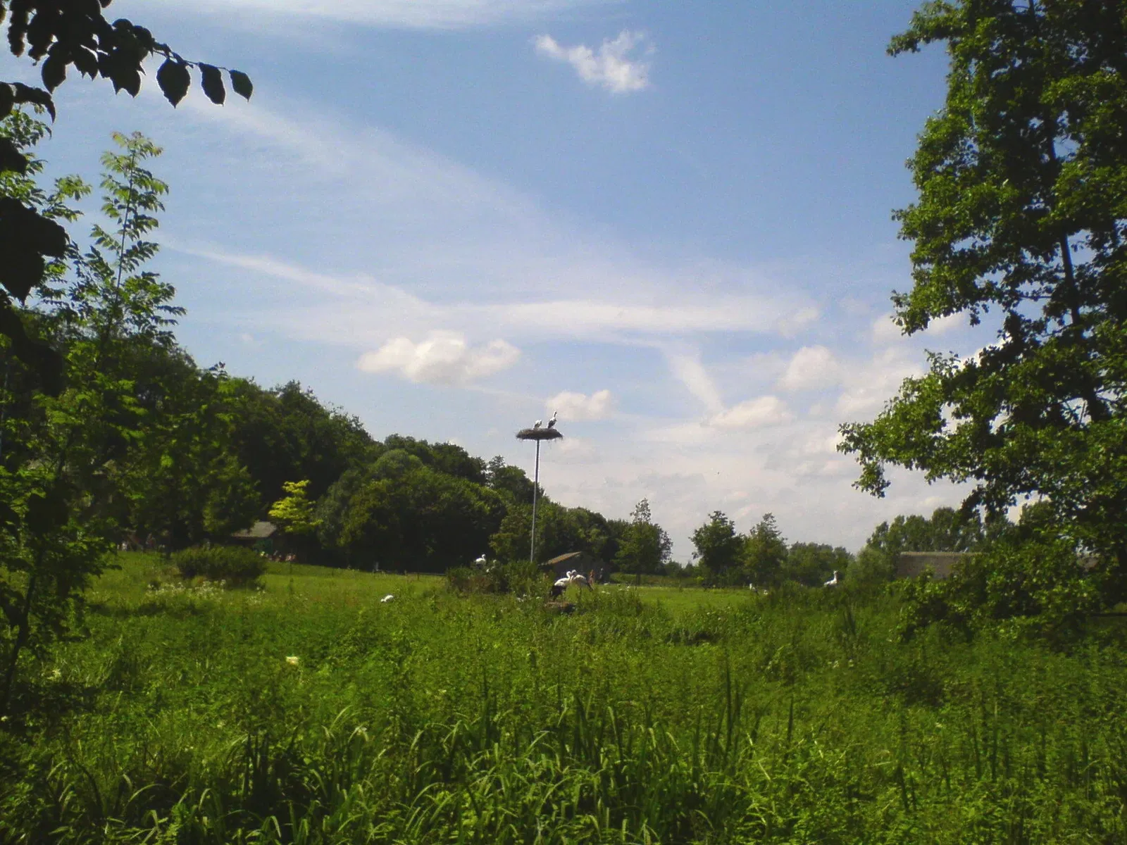 Jardin zoologique de Straubing