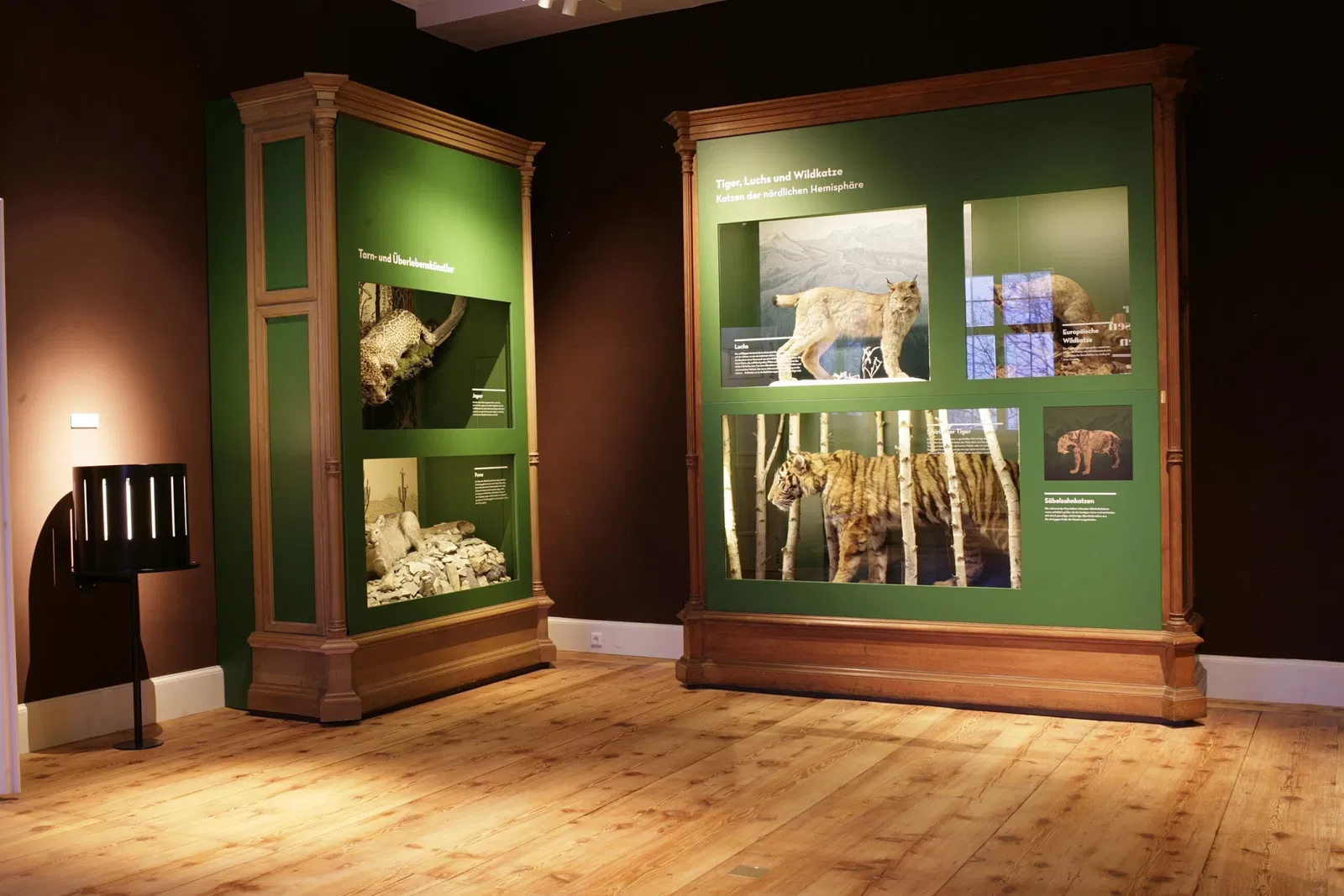 Museum der Natur Gotha