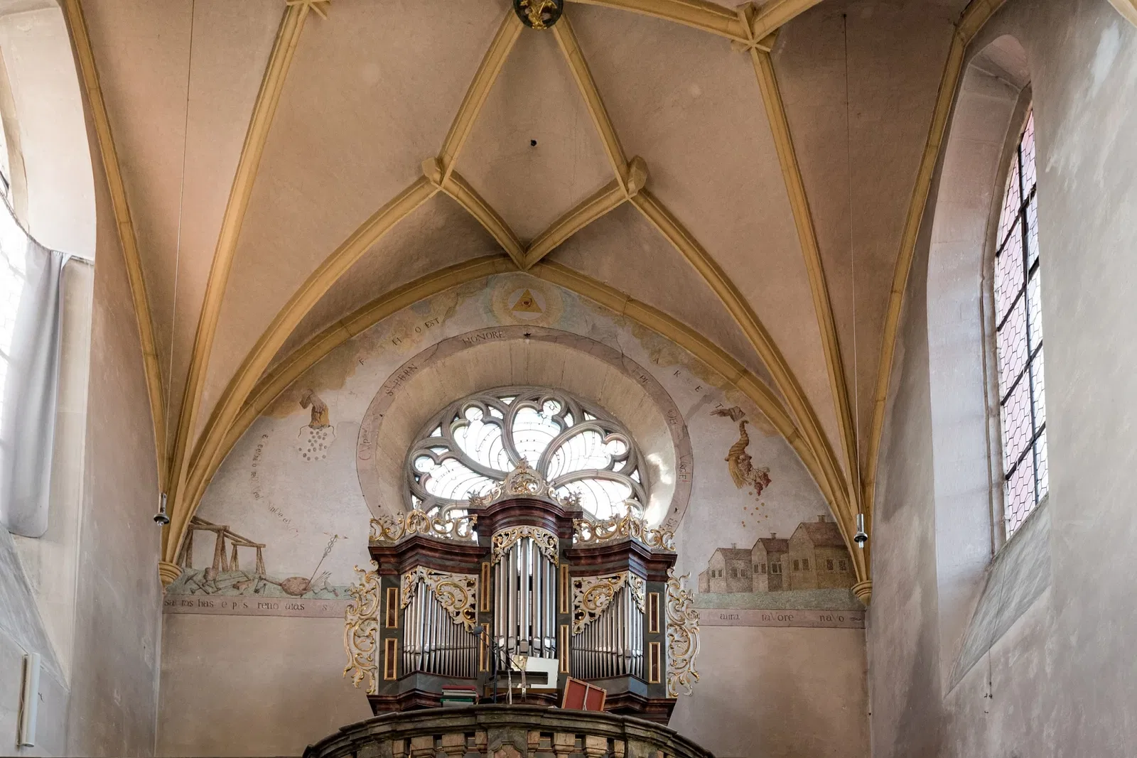 Chartreuse de Tückelhausen