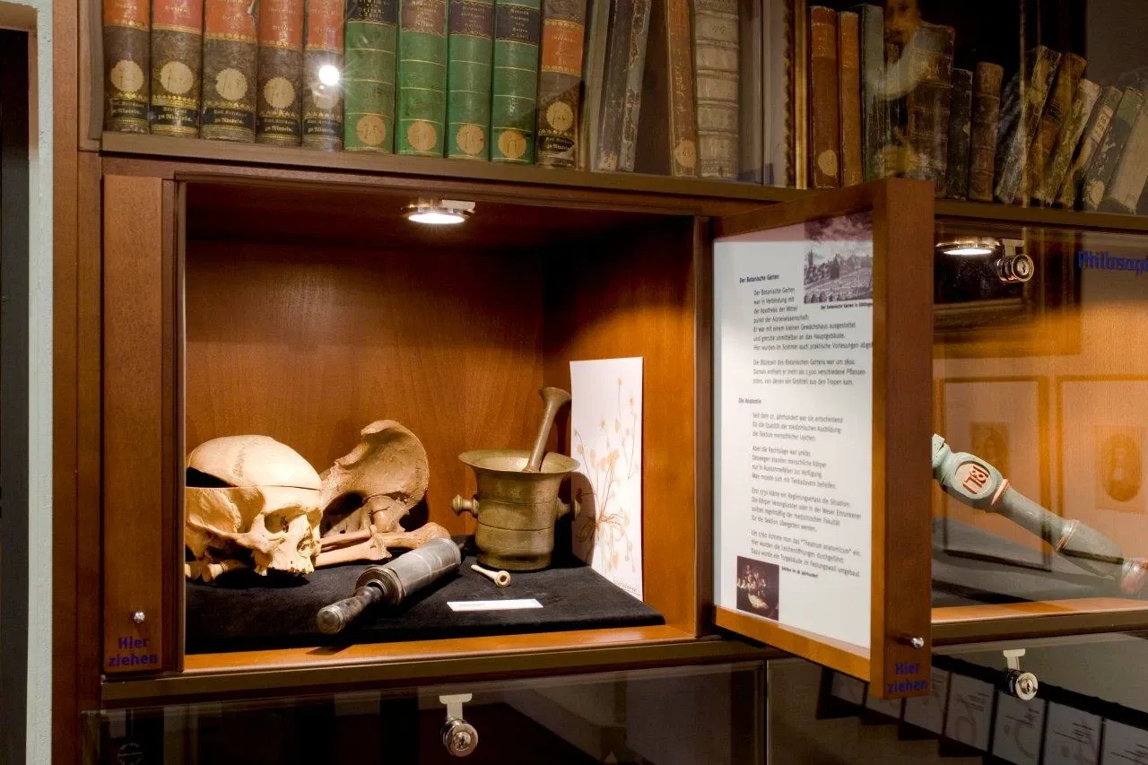 Die Eulenburg. Museum Rinteln