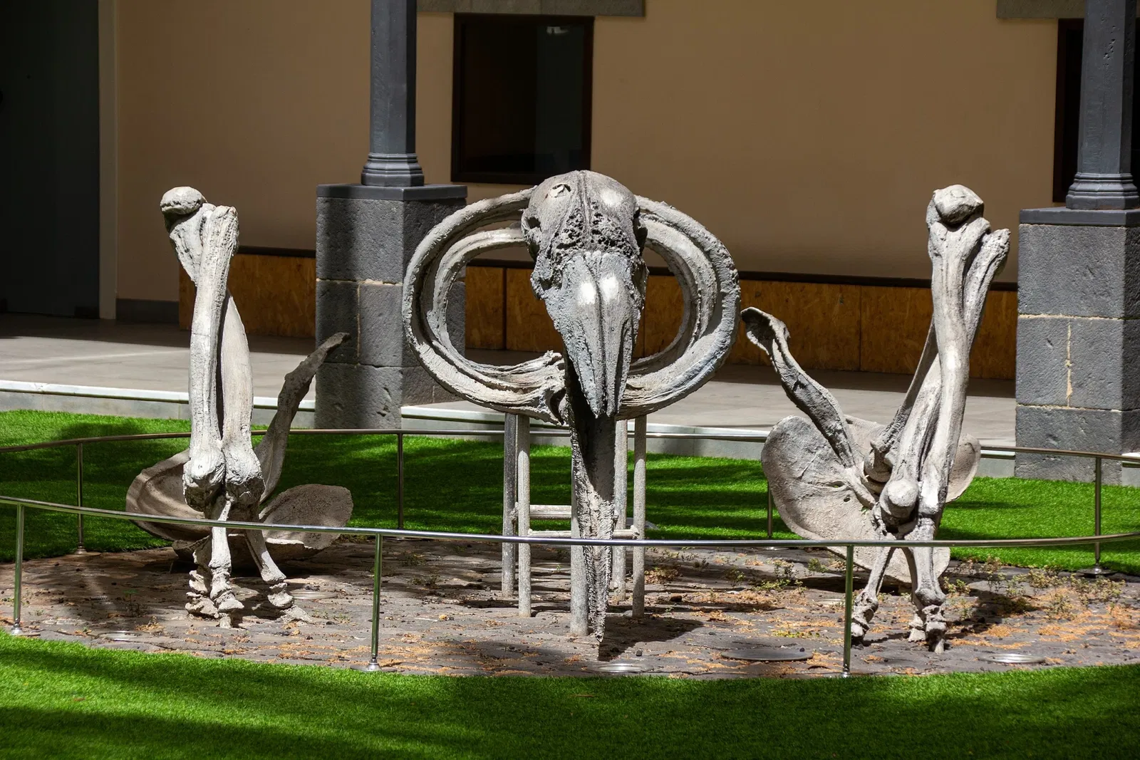 Museum of Nature and Archaeology