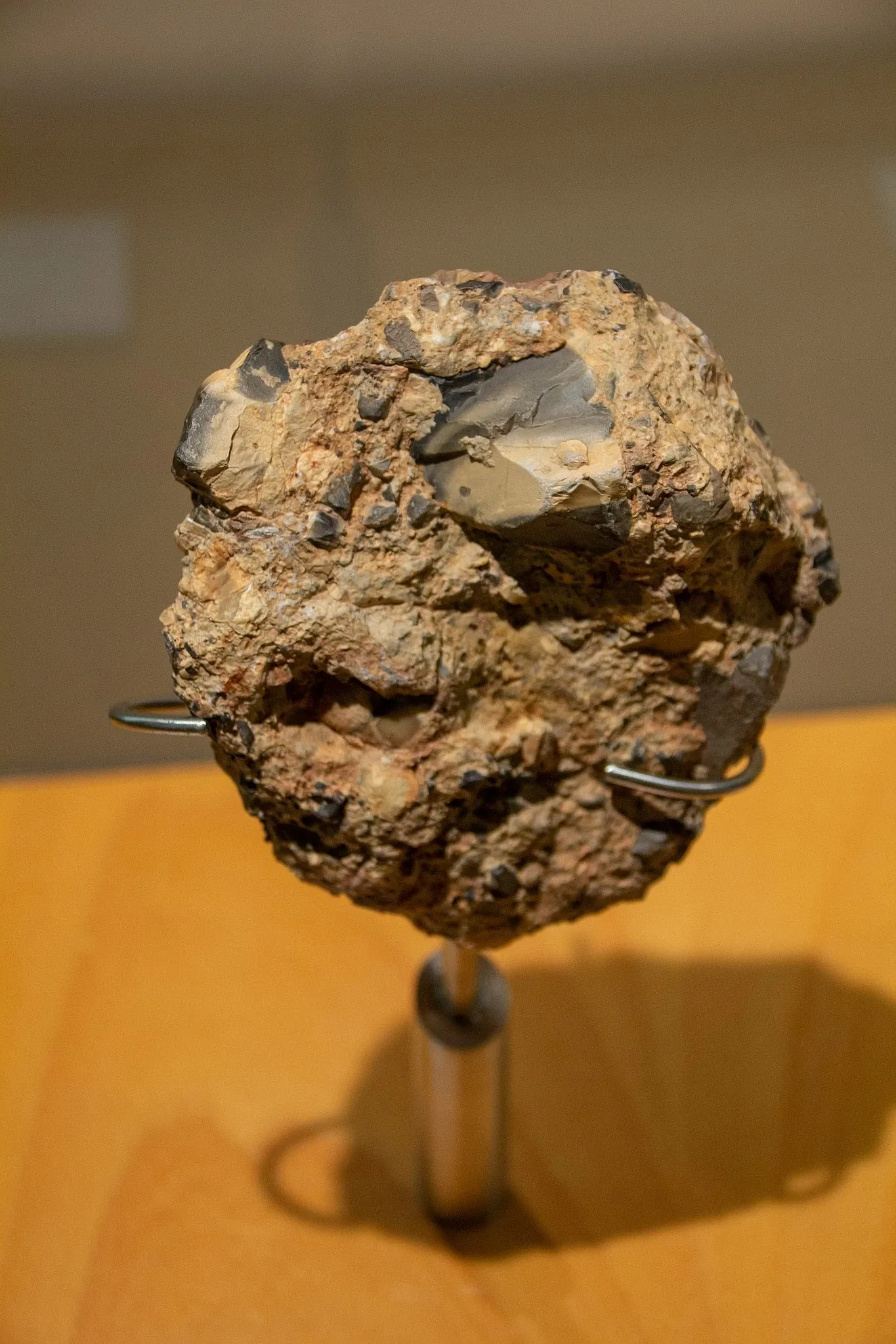 Museum of Nature and Archaeology