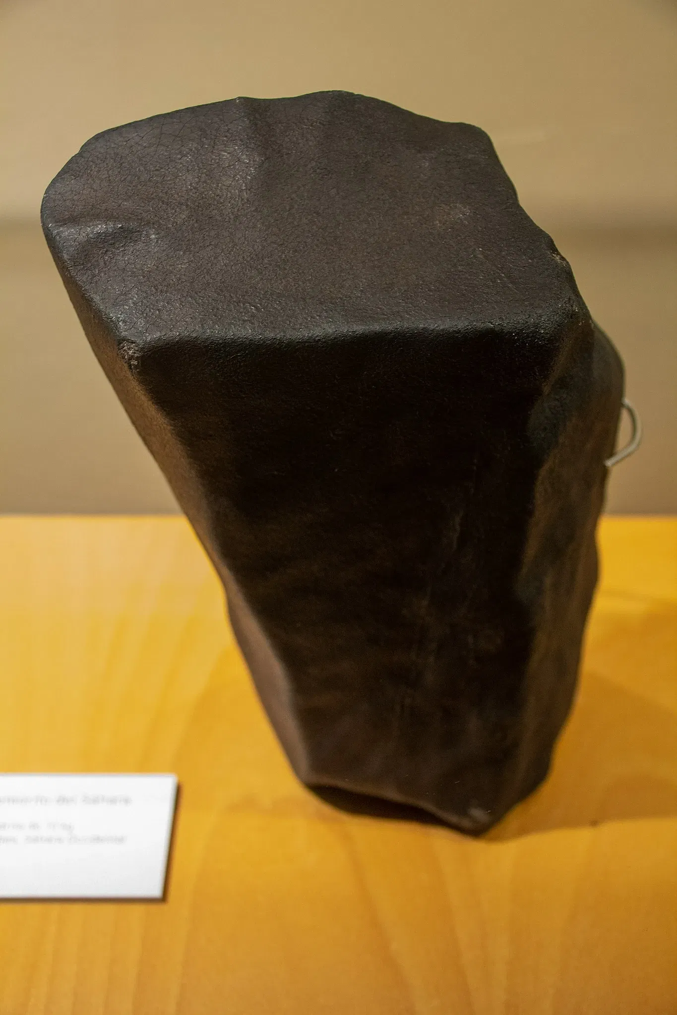 Museum of Nature and Archaeology