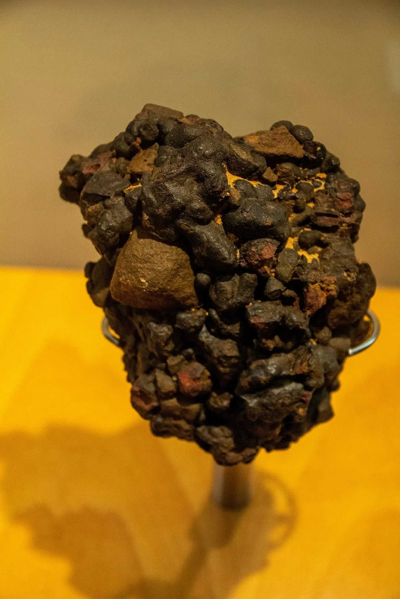 Museum of Nature and Archaeology