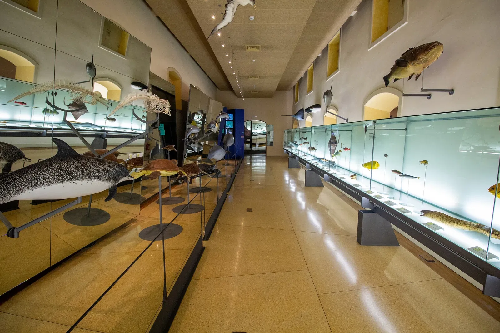 Musée de la Nature et de l'Homme