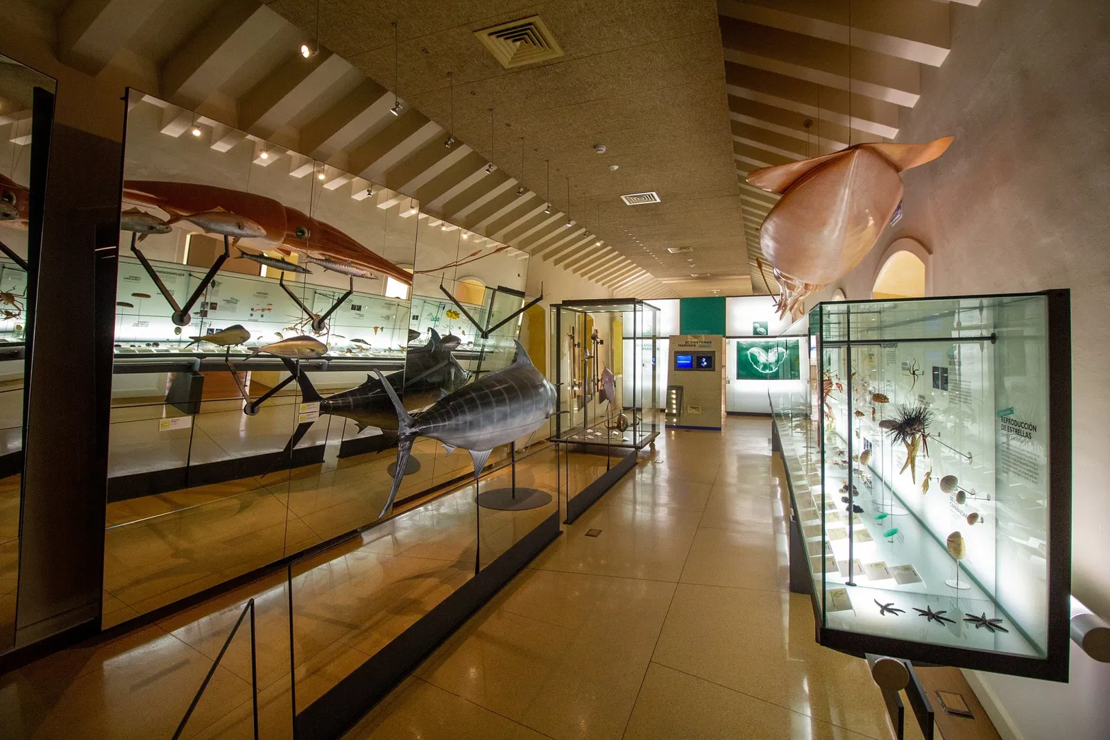 Museo della natura e dell'uomo