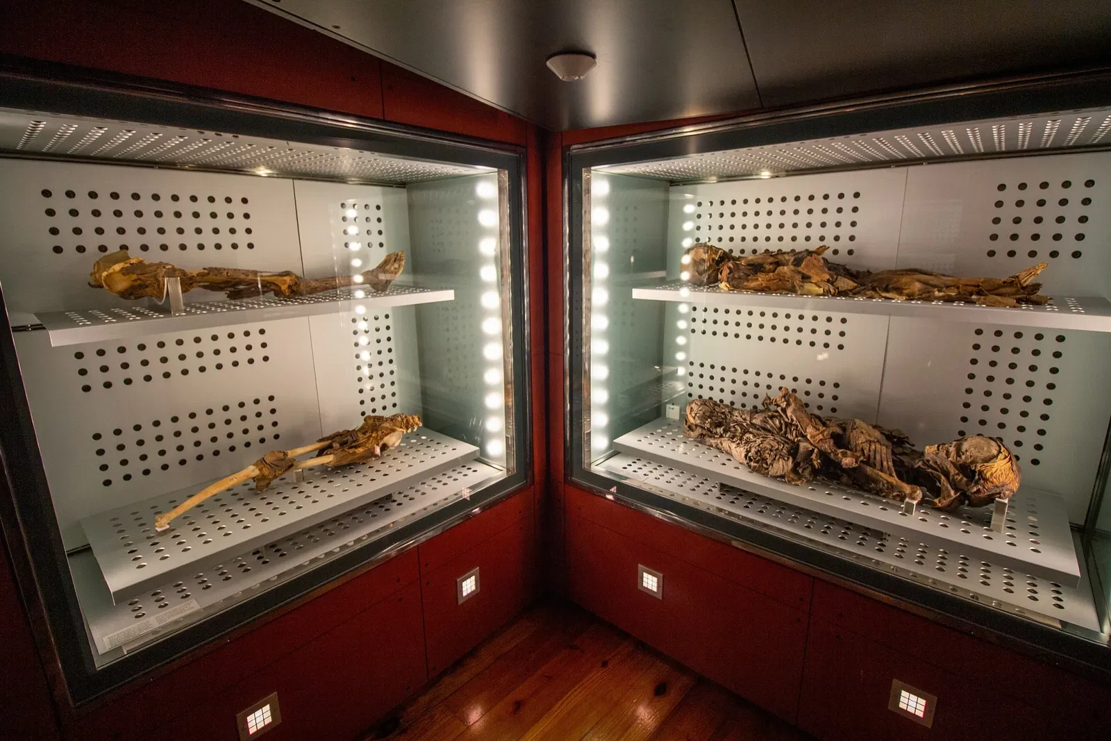 Museo della natura e dell'uomo