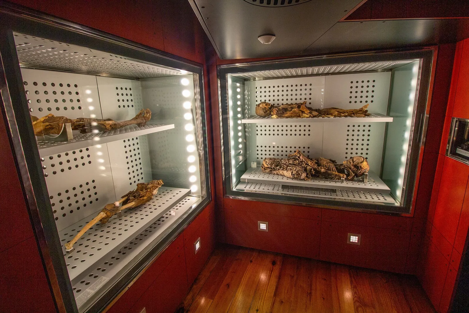 Musée de la Nature et de l'Homme