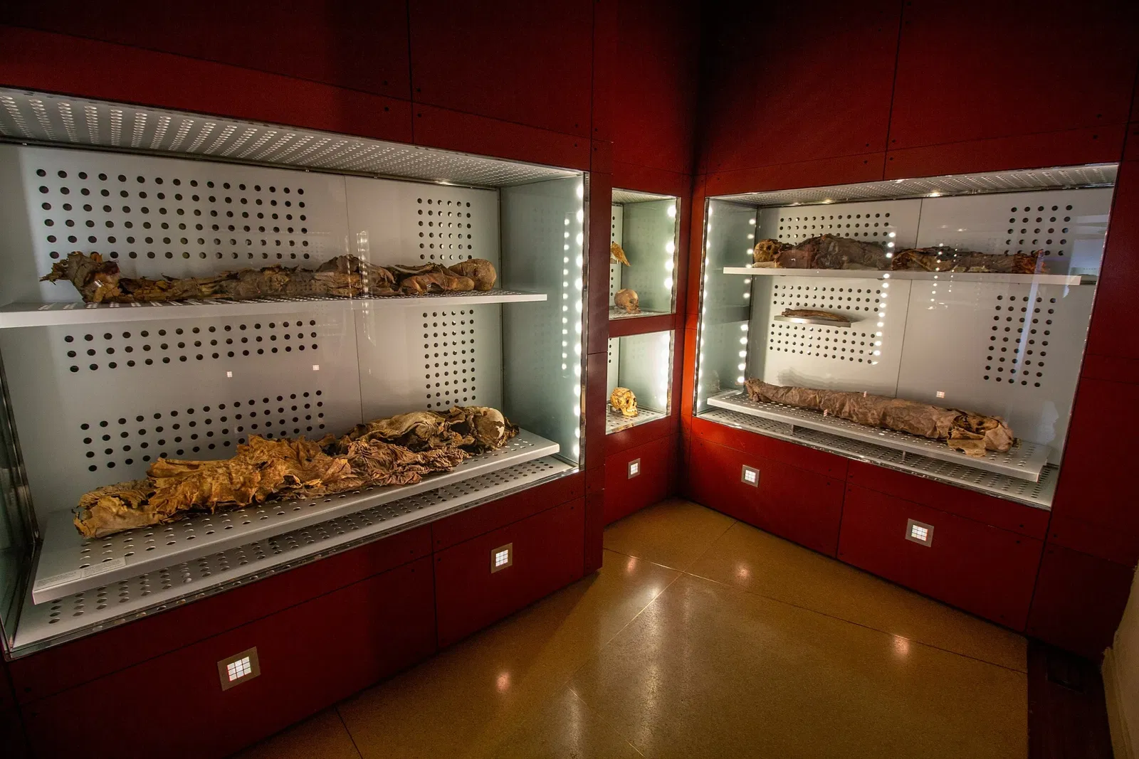 Museo de Naturaleza y Arqueología