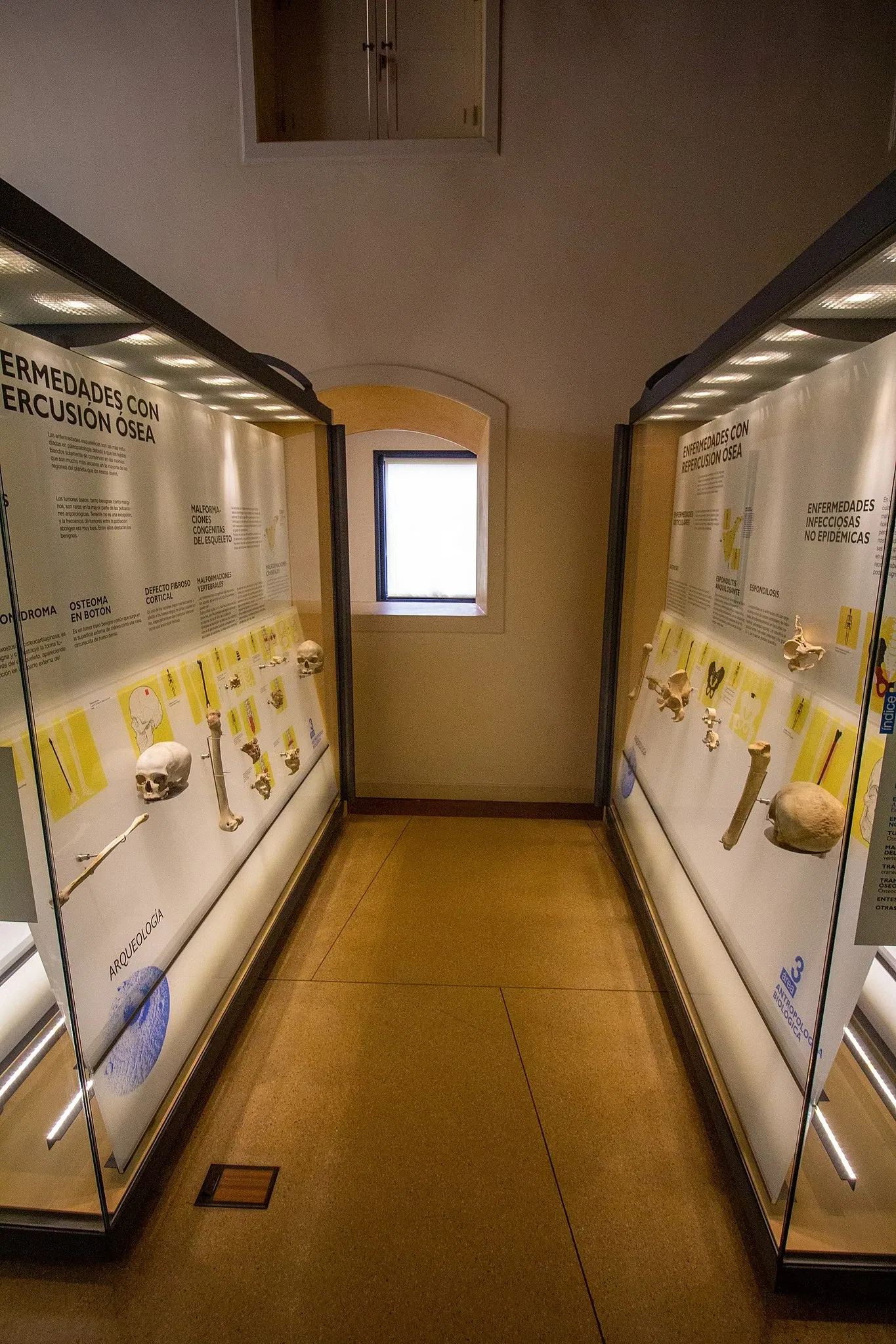 Museo de Naturaleza y Arqueología