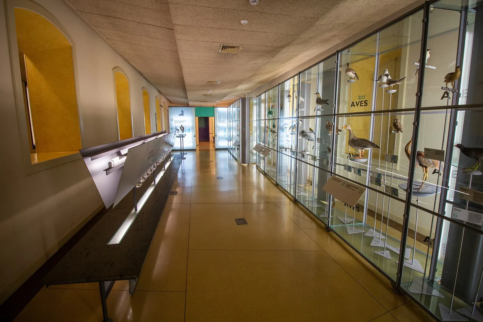 Musée de la Nature et de l'Homme