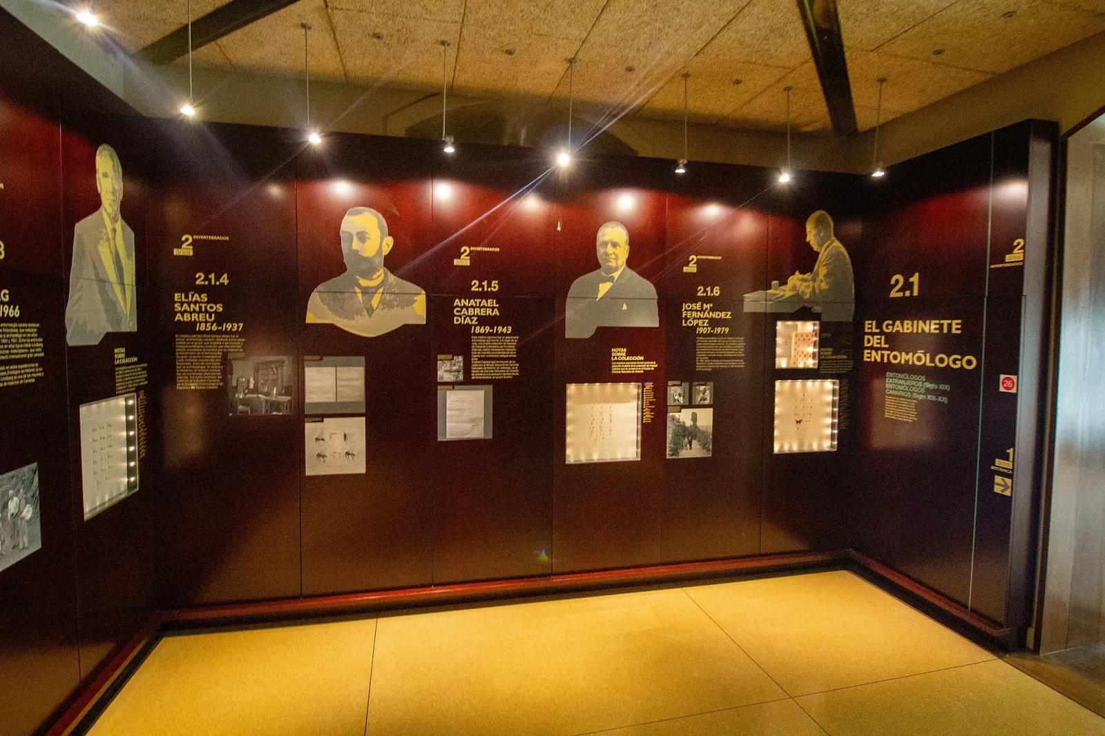 Museum of Nature and Archaeology