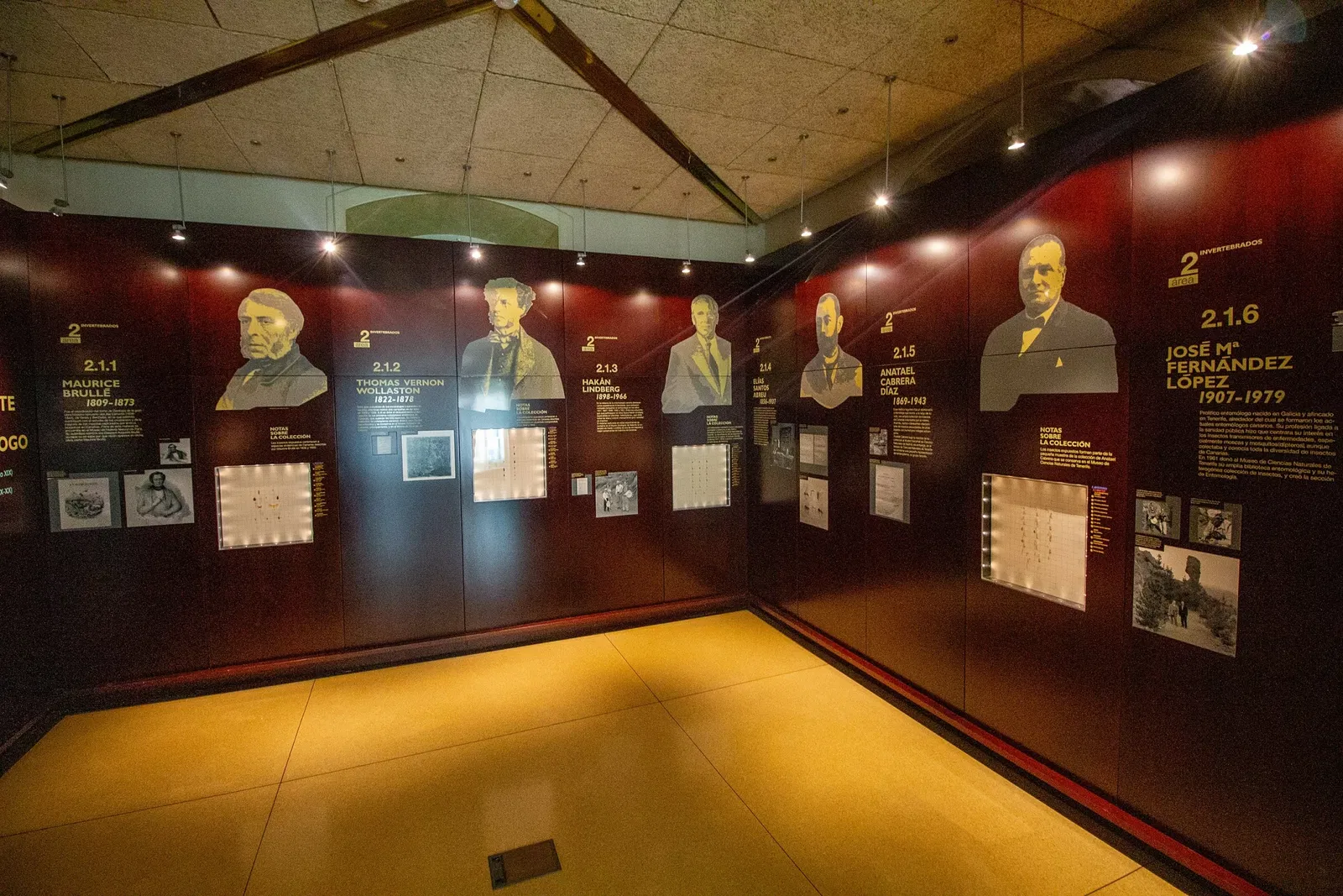 Museum of Nature and Archaeology