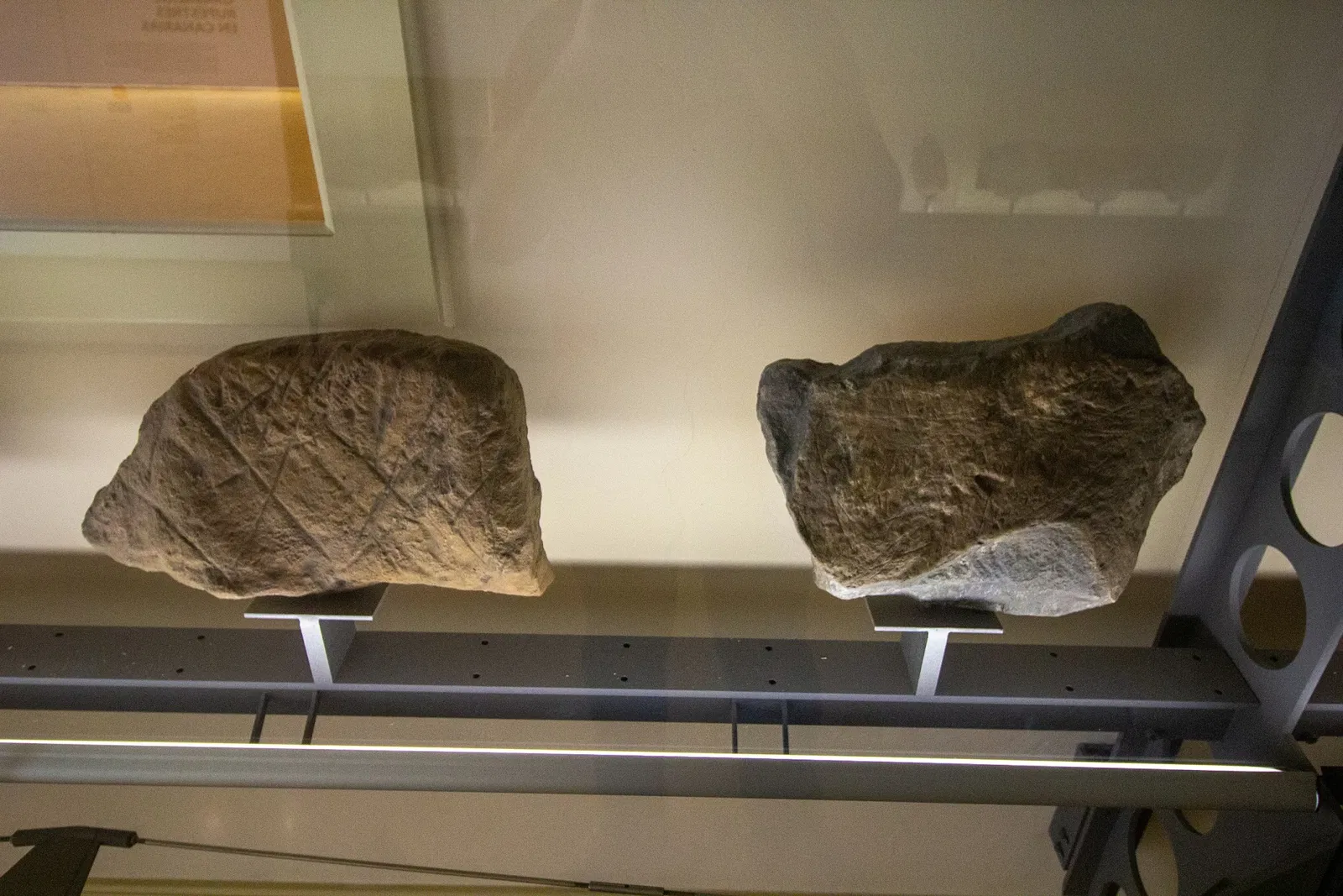 Museo de Naturaleza y Arqueología