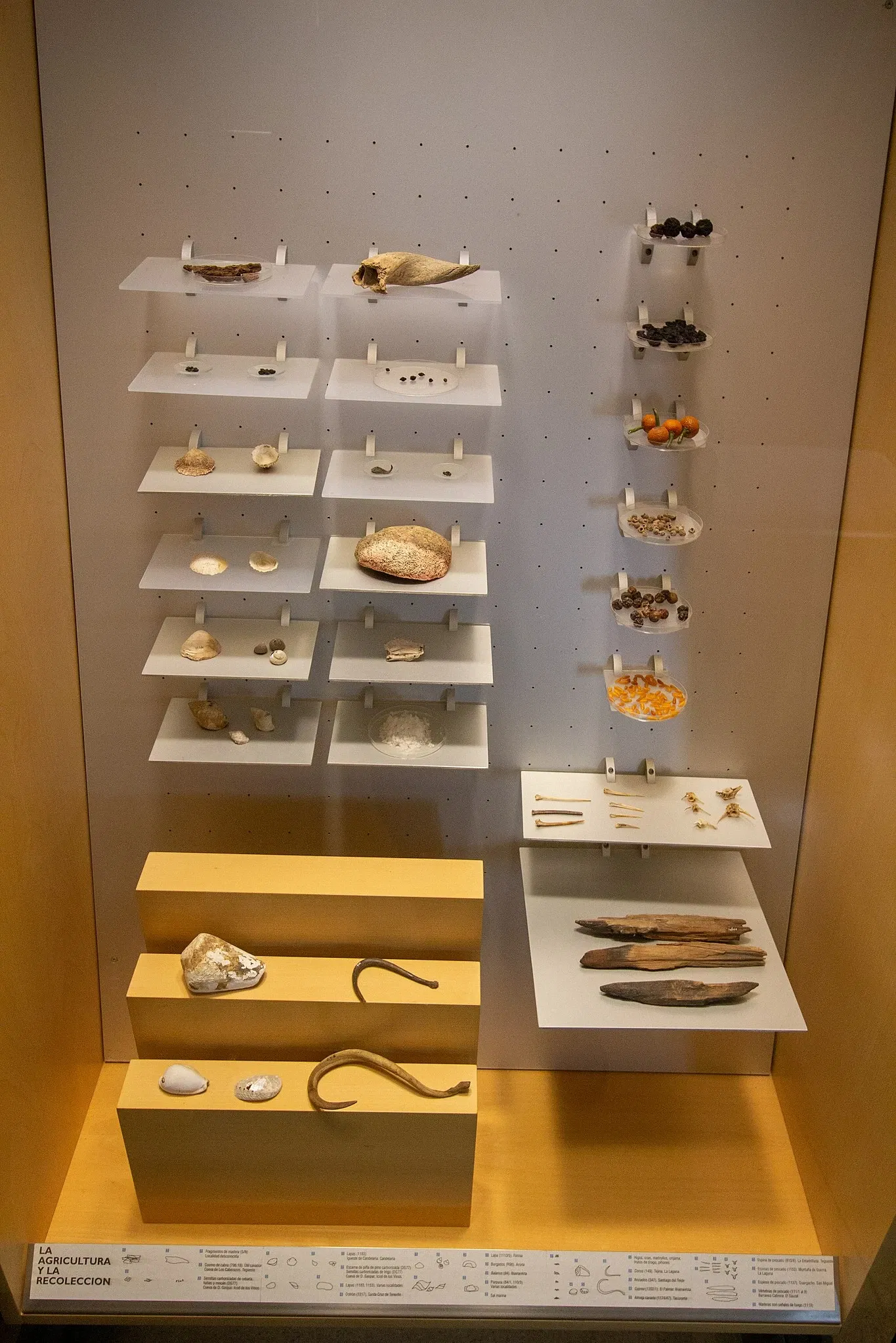 Musée de la Nature et de l'Homme