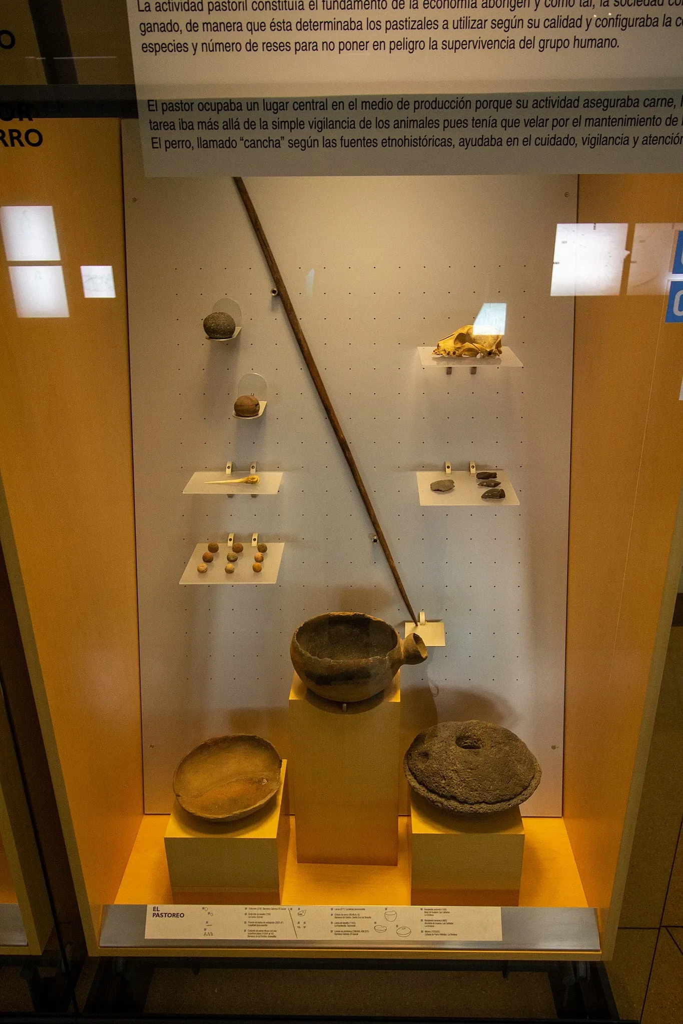 Museo de Naturaleza y Arqueología