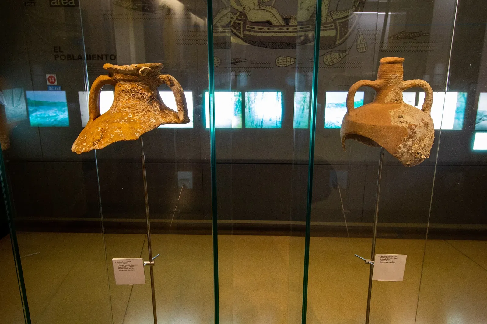Museum of Nature and Archaeology