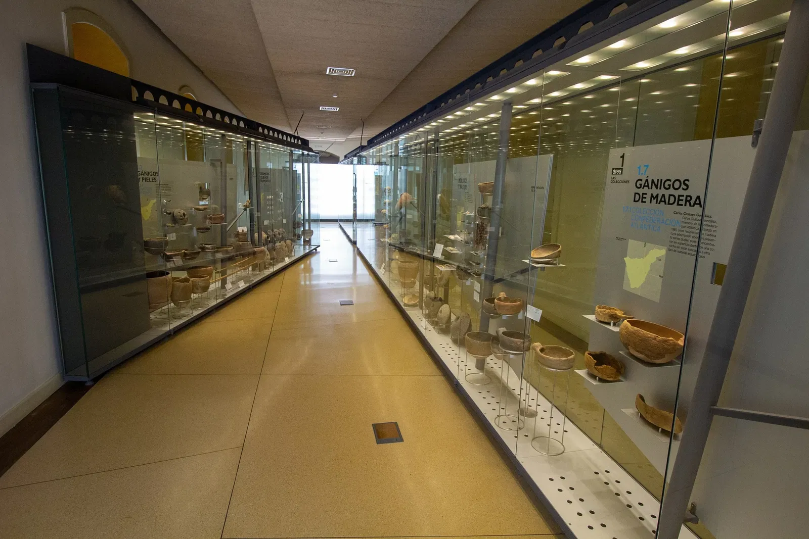 Museum of Nature and Archaeology
