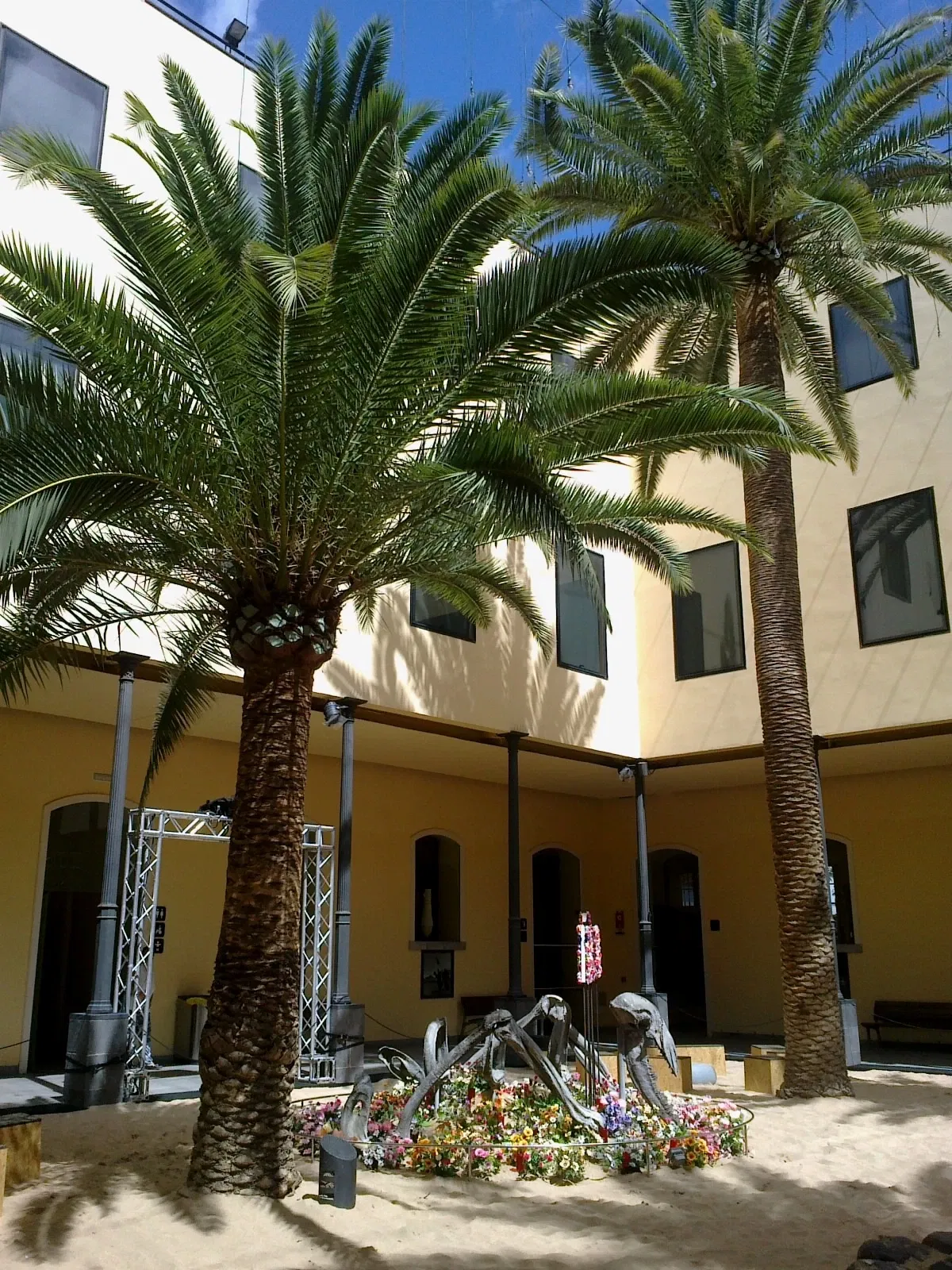 Museo de Naturaleza y Arqueología