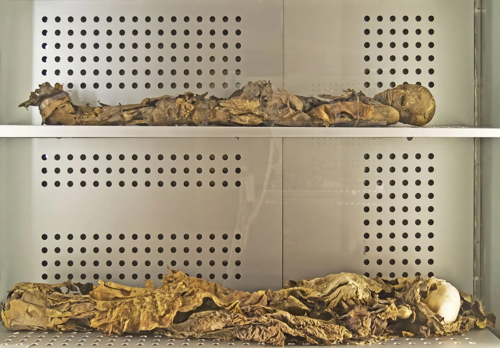 Museum of Nature and Archaeology