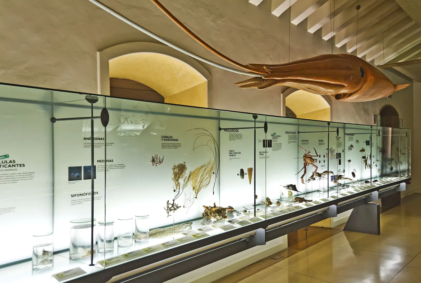 Museo della natura e dell'uomo