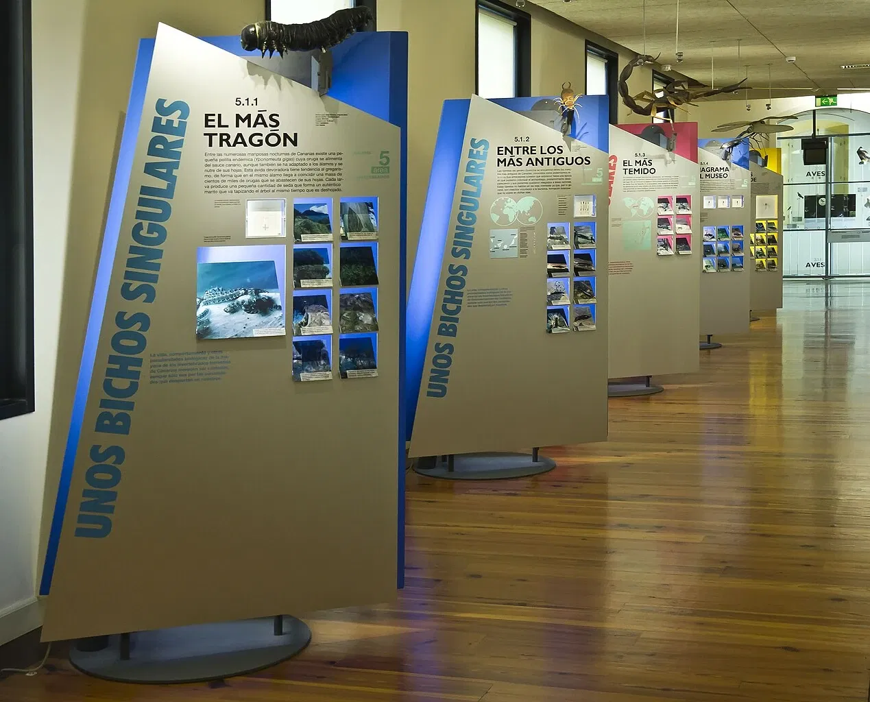 Museum of Nature and Archaeology